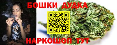 apvp Беслан