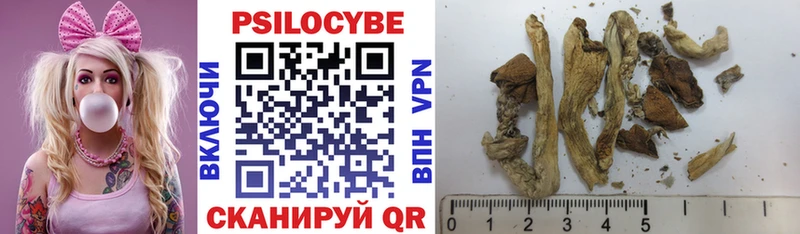Псилоцибиновые грибы мицелий  Воркута 