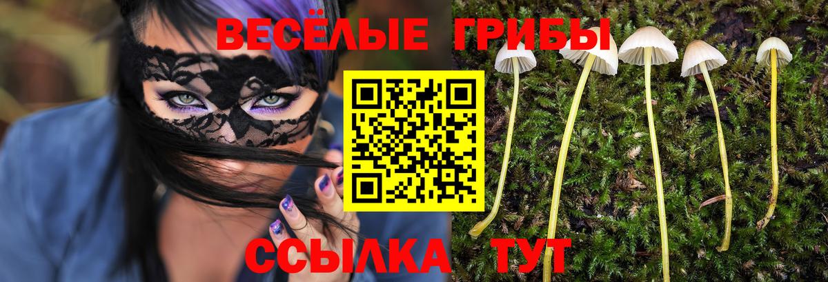 Галлюциногенные грибы MAGIC MUSHROOMS Воркута