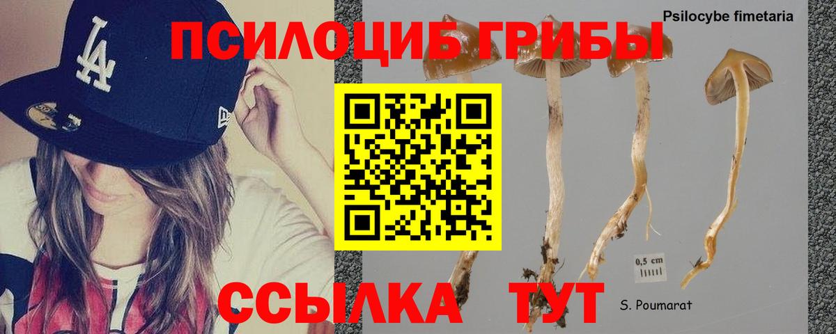 Воркута  Псилоцибиновые грибы мухоморы  Вход с VPN  Псилоцибиновые грибы Magic Shrooms 