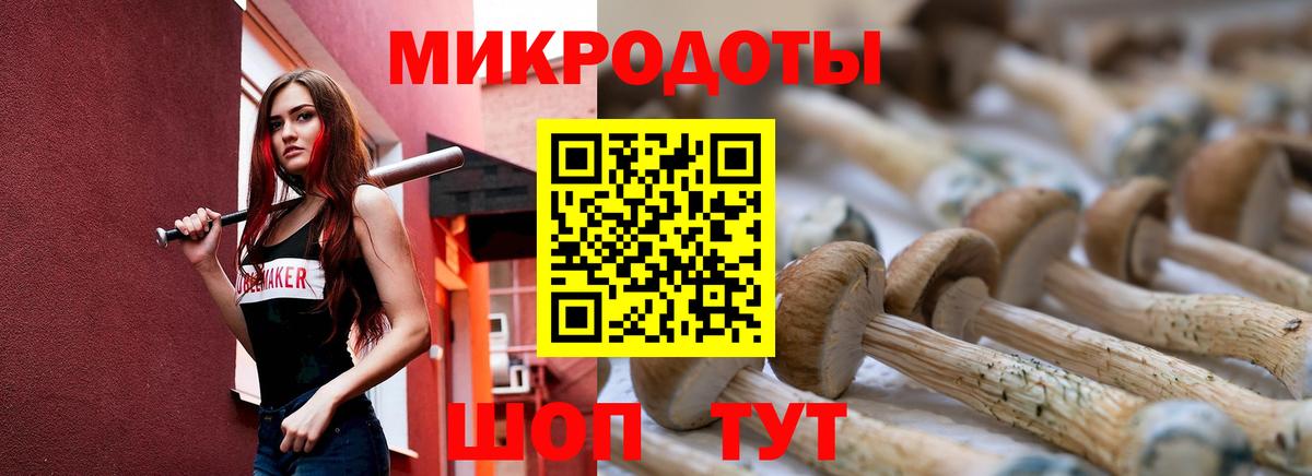 Галлюциногенные грибы мухоморы Воркута